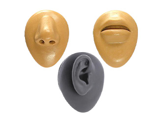 Body Parts