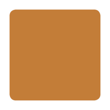 Eternal Ink Caramel Tattoo Ink