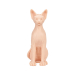 A Pound of Flesh Sphynx Naked Cat