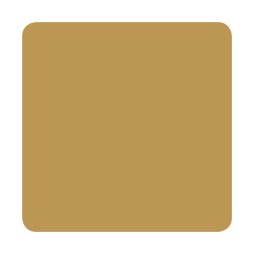 Eternal Ink Dark Ochre Tattoo Ink