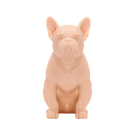 Image of A Pound of Flesh French Bulldog