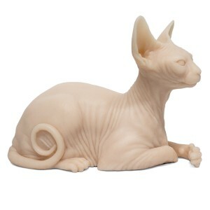 tattooable-sphynx-cat-silicone-2